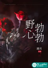 《野心勃勃》小说封面