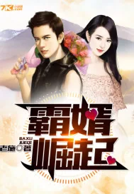 《霸婿崛起》小说封面