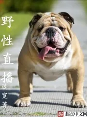 《野性为王》小说封面