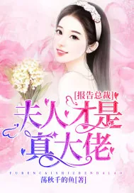 《报告总裁：夫人才是真大佬》小说封面