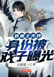 《我！国士无双，身份被戏子曝光》小说封面