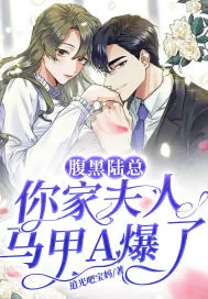 《腹黑陆总,你家夫人马甲A爆了》小说封面