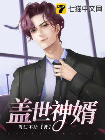 《盖世神婿》小说封面