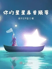 《你的星星未曾陨落》小说封面