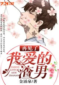 《再见了，我爱的渣男》小说封面