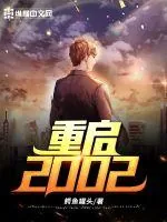《重启2002》小说封面