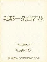 《我那一朵白莲花》小说封面