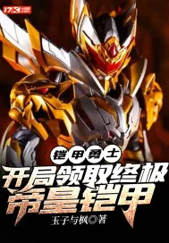 《铠甲勇士:开局领取终极帝皇铠甲》小说封面