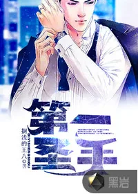 《第一圣手》小说封面