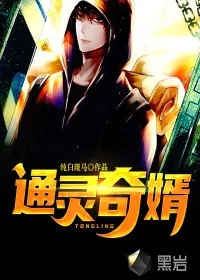 《通灵奇婿》小说封面