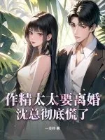 《作精太太要离婚，沈总彻底慌了》小说封面