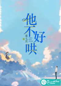 《他不好哄》小说封面
