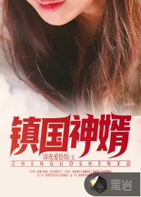 《镇国神婿》小说封面