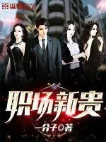 《职场新贵》小说封面