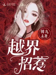 《越界招惹》小说封面