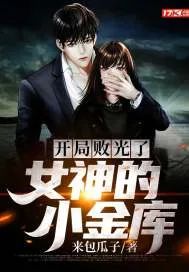 《开局败光了女神的小金库》小说封面