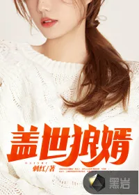 《盖世狼婿》小说封面