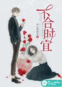 《不合时宜》小说封面