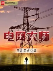 《电网大师》小说封面