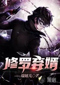 《修罗弃婿》小说封面