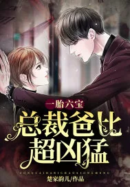 《一胎六宝：总裁爸比超凶猛》小说封面