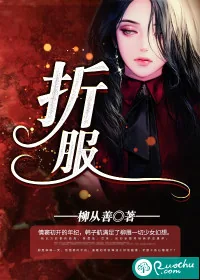 《折服》小说封面