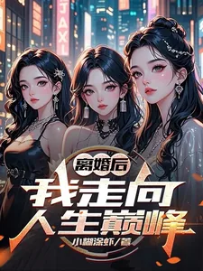 《离婚后,我走向人生巅峰》小说封面