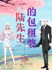 《陆先生的包租婆》小说封面
