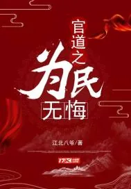 《官道之为民无悔》小说封面
