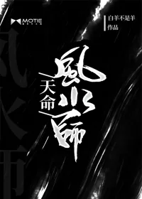 《天命风水师》小说封面