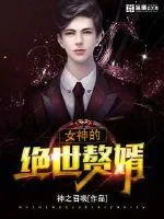 《女神的绝世赘婿》小说封面