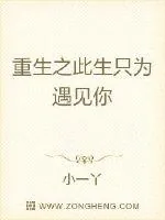 《重生之此生只为遇见你》小说封面