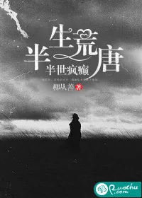 《半生荒唐,半世疯癫》小说封面