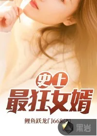 《史上最狂女婿》小说封面