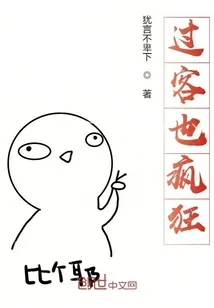 《我是过客又怎样？》小说封面
