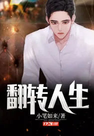 《翻转人生》小说封面