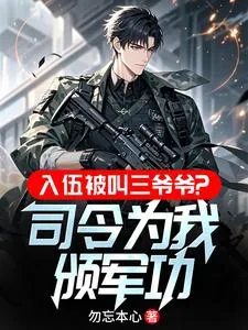 《入伍被叫三爷爷？司令为我颁军功》小说封面