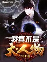 《我真不是大人物》小说封面