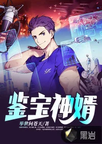 《鉴宝神婿》小说封面