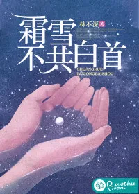 《霜雪不共白首》小说封面
