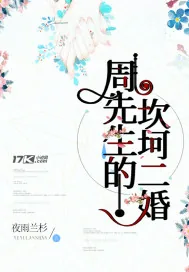 《周先生的坎坷二婚》小说封面