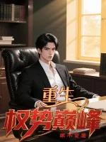 《重生:权势巅峰》小说封面