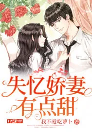 《失忆娇妻有点甜》小说封面