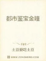 《都市鉴宝金瞳》小说封面