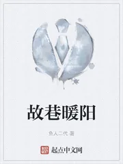 《故巷暖阳》小说封面
