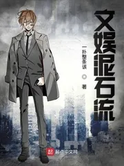 《文娱泥石流》小说封面