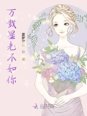 《万载星光不如你》小说封面