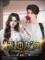 《特种龙凤》小说封面