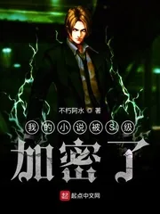 《我的小说被S级加密了》小说封面