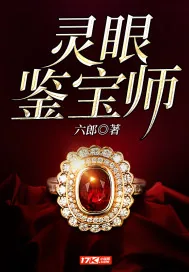 《灵眼鉴宝师》小说封面
